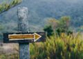 Corporate Sovereignty and Indigenous Lands: A Structural Fault Line in Global Capital