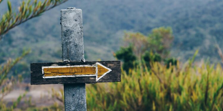 Corporate Sovereignty and Indigenous Lands: A Structural Fault Line in Global Capital