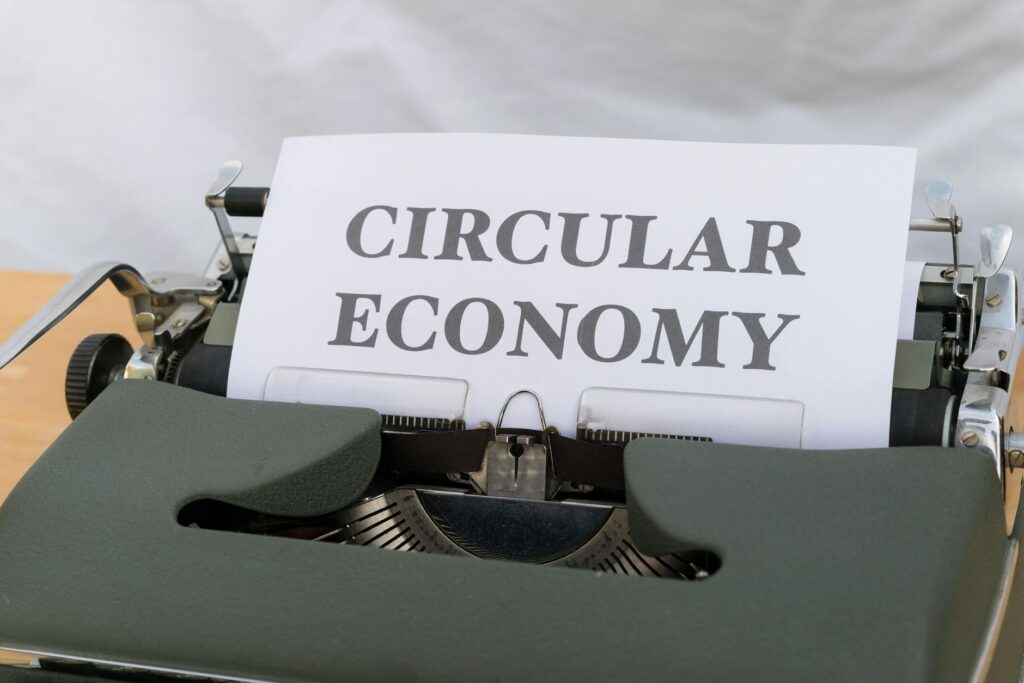 Cradle‑to‑Death Carbon Labels Reshape Consumer Markets and Career Pathways