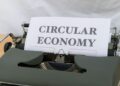 Cradle‑to‑Death Carbon Labels Reshape Consumer Markets and Career Pathways