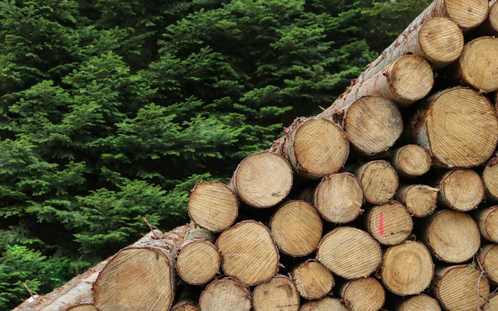 Cradle‑to‑Death Carbon Labels Reshape Consumer Markets and Career Pathways