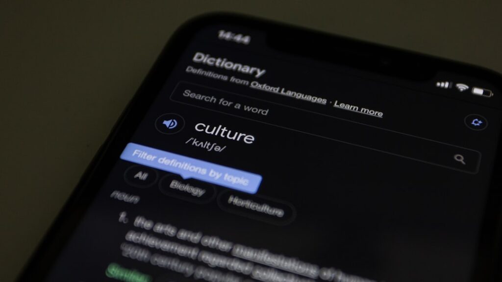 Digital Palimpsests: How Platform Algorithms Reshape Intergenerational Cultural Capital