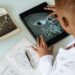 Ed‑Tech Entrepreneurs Accelerate Tech‑Driven Learning in Agriculture and Beyond