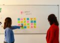 Empathy as Career Capital: Mapping the Institutional Shift Toward Emotional Labor
