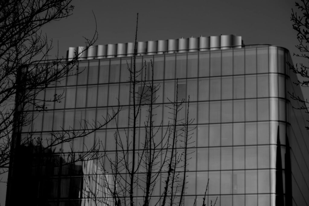 ESG Disclosure as a Market‑Value Lever: Structural Pathways from Reputation to Capital