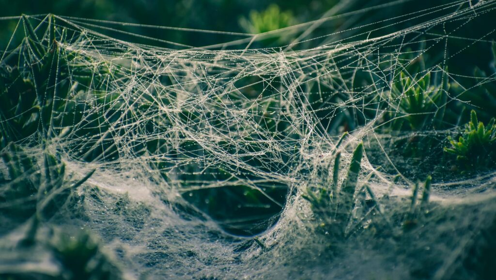 ESG Disclosure’s Hidden Toll: How Mandatory Reporting Reshapes the SME Landscape