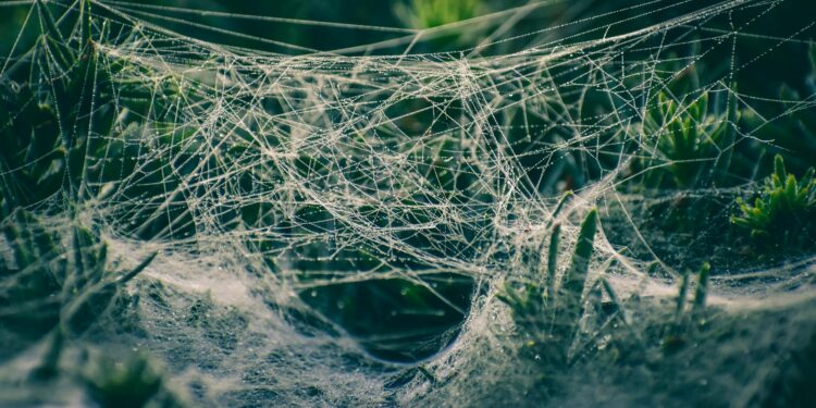ESG Disclosure’s Hidden Toll: How Mandatory Reporting Reshapes the SME Landscape
