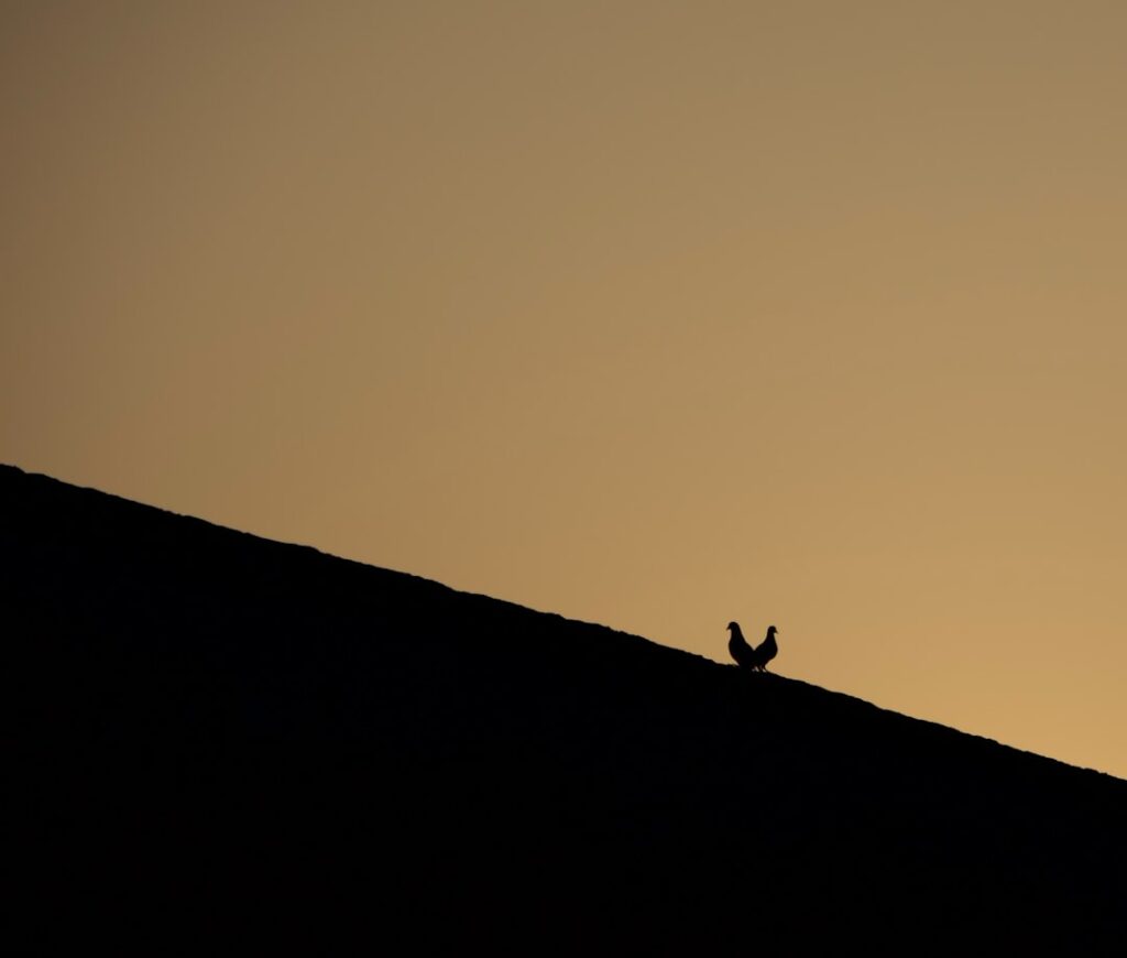 From Hardship to Empire: Structural Drivers of Entrepreneurial Ascendance
