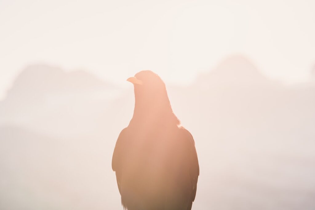 From Hardship to Holdings: Structural Pathways of Resilient Entrepreneurs