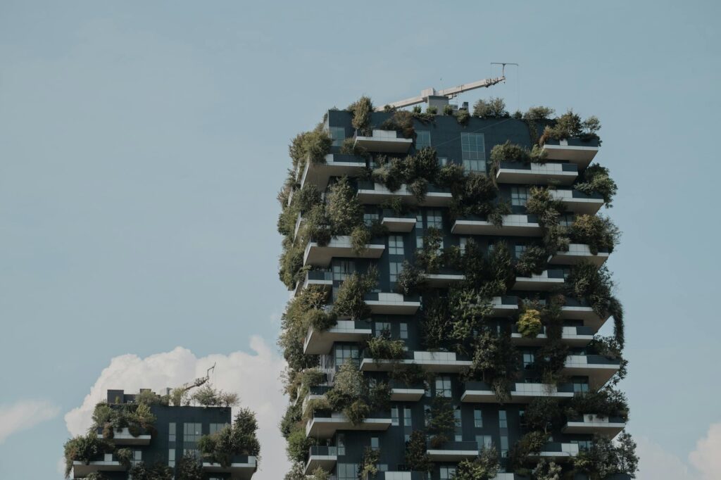 Green Gentrification: Structural Shifts in Urban Ecosystems and Career Capital
