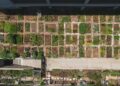 Green Hubs in Government: How Urban Agriculture is Re‑engineering Public‑Sector Workplaces