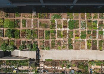 Green Hubs in Government: How Urban Agriculture is Re‑engineering Public‑Sector Workplaces