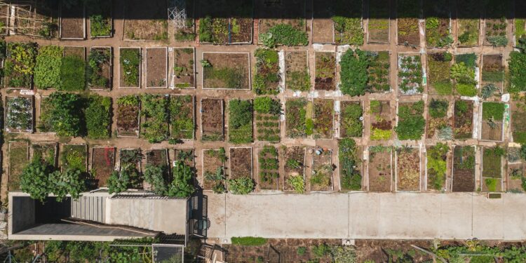Green Hubs in Government: How Urban Agriculture is Re‑engineering Public‑Sector Workplaces