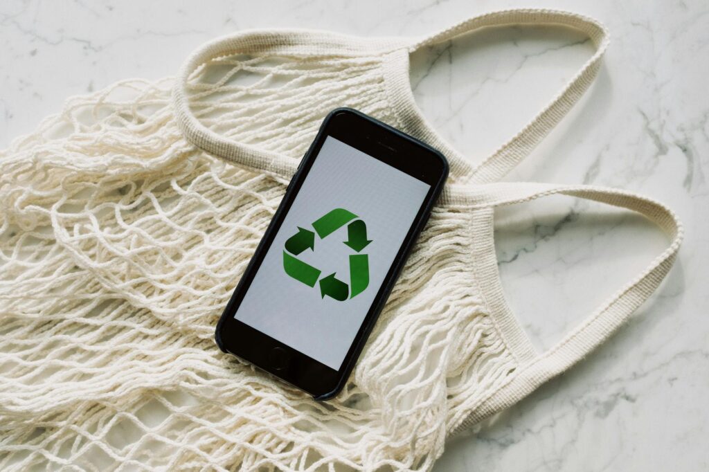 Green Premiums and the Unequal Future of Sustainable Electronics