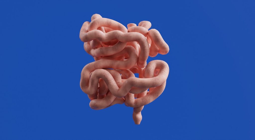 Gut‑Brain Mapping: Structural Levers Shaping Fitness Capital and Cognitive Mobility