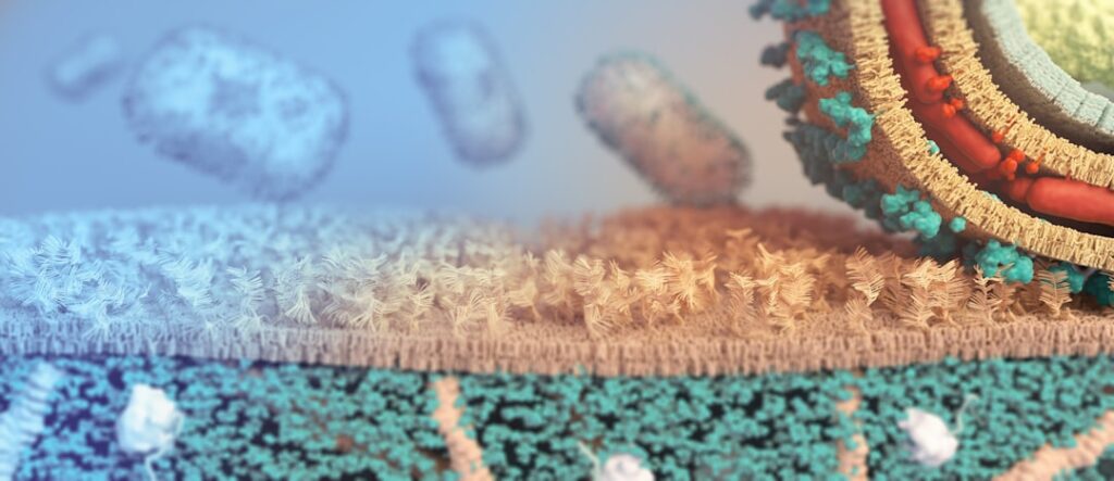 Gut‑Health Capital: How the Microbiome Is Reshaping Food, Labor and Institutional Power