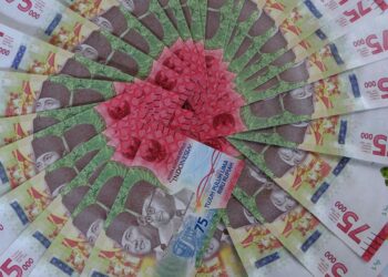 Inflationary Echoes: How Tight Money Reshapes Regional Skill Architectures