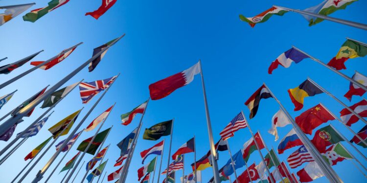 Intercultural Leverage: How Global Student Mobility Reshapes Entrepreneurial Capital