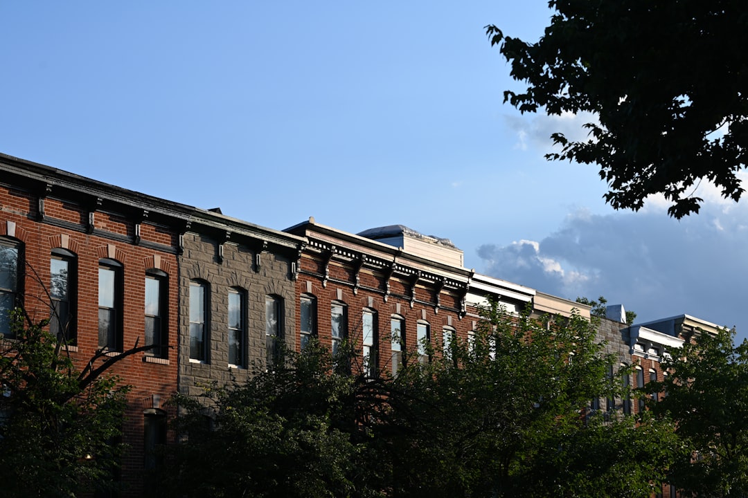 How Baltimore's Mayor Is Fighting the City's Vacant Housing Crisis | Odd Lots
