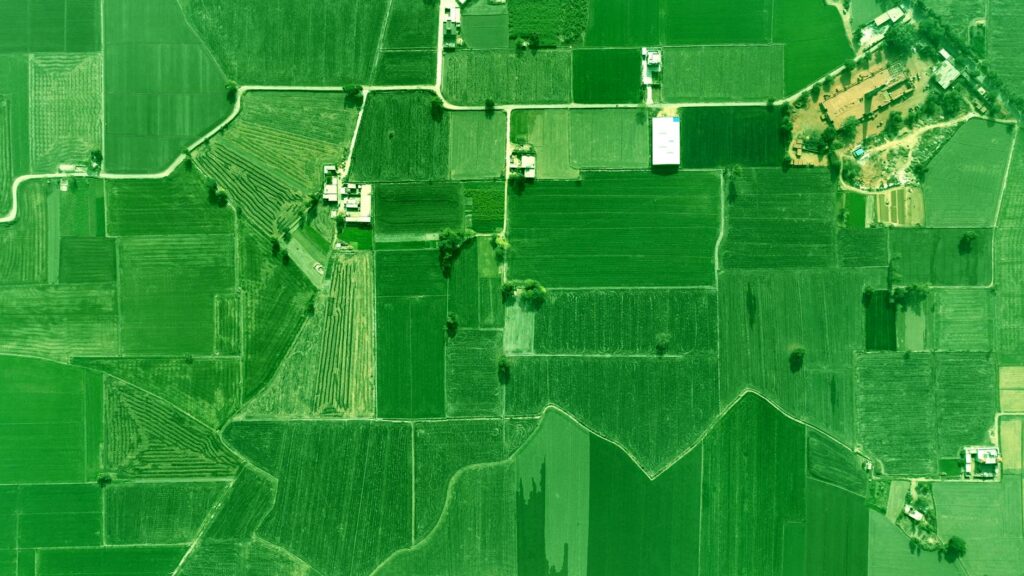 Mapping Rural Digital Literacy to Economic Mobility: A Structural Blueprint for the Next Decade