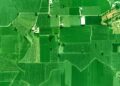 Mapping Rural Digital Literacy to Economic Mobility: A Structural Blueprint for the Next Decade