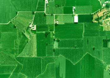 Mapping Rural Digital Literacy to Economic Mobility: A Structural Blueprint for the Next Decade
