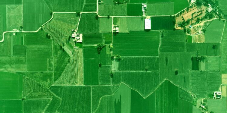 Mapping Rural Digital Literacy to Economic Mobility: A Structural Blueprint for the Next Decade