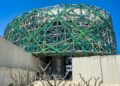 Microbial Matter: How Living Materials Are Re‑Engineering the Construction System