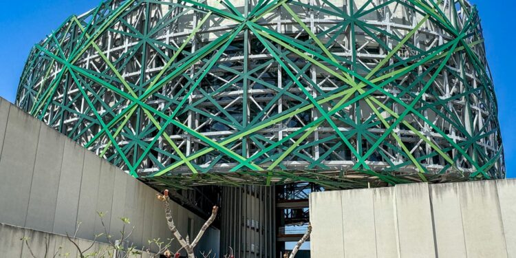 Microbial Matter: How Living Materials Are Re‑Engineering the Construction System