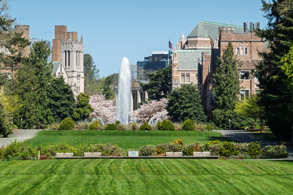 Nature‑Infused Mindfulness Reshapes Academic Capital and Mobility
