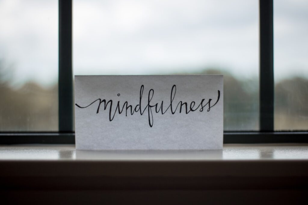 Nature‑Infused Mindfulness Reshapes Academic Capital and Mobility