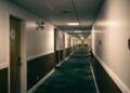 Nature‑Infused Workspaces: How Biophilic Design Is Redefining Staff Capital in Luxury Hotels