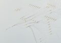 Neurocapital: How Cognitive Heterogeneity Is Rewiring Corporate Innovation Engines