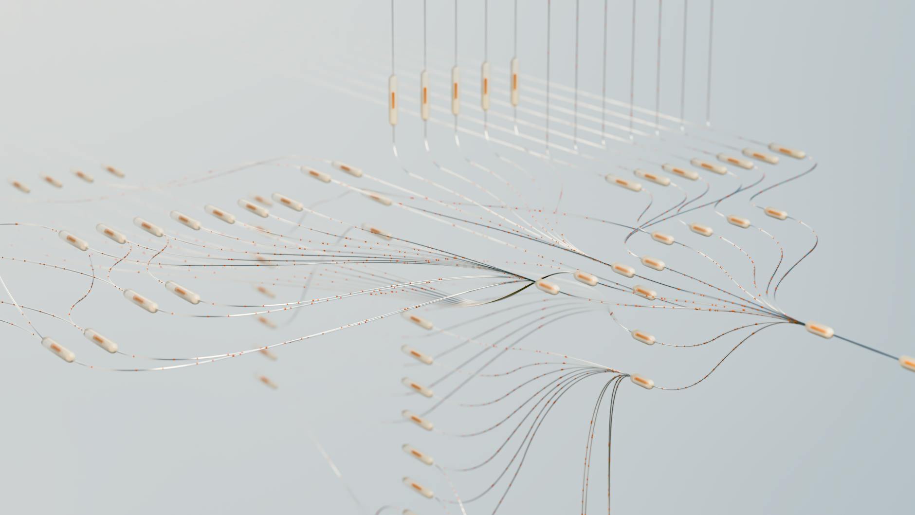 Neuroplasticity as the Institutional Engine of Career Mobility