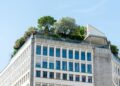 Rooftop Resilience: How Integrated Sky‑Gardens Are Redefining Urban Career Capital and Institutional Power