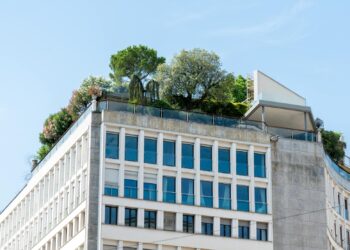 Rooftop Resilience: How Integrated Sky‑Gardens Are Redefining Urban Career Capital and Institutional Power