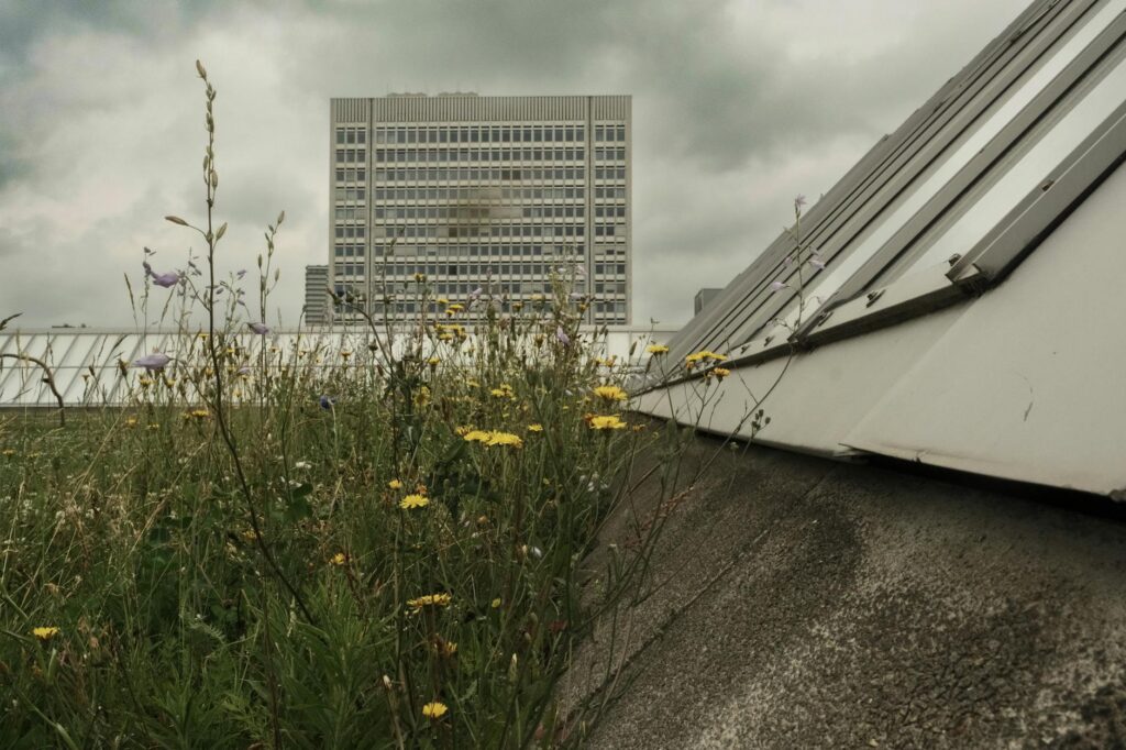 Rooftop Resilience: How Integrated Sky‑Gardens Are Redefining Urban Career Capital and Institutional Power