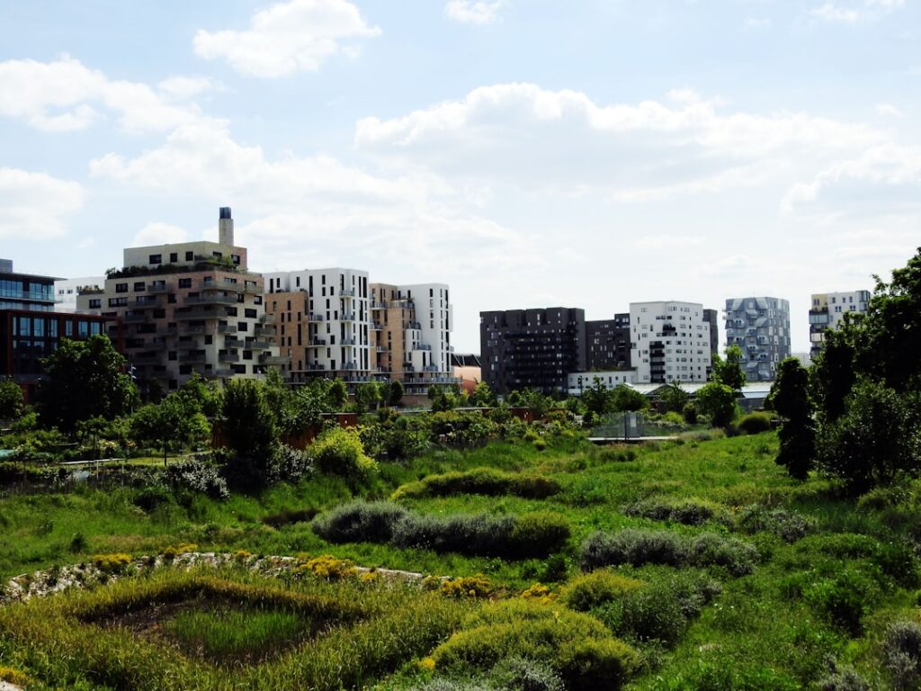 Rooftop Resilience: How Integrated Sky‑Gardens Are Redefining Urban Career Capital and Institutional Power