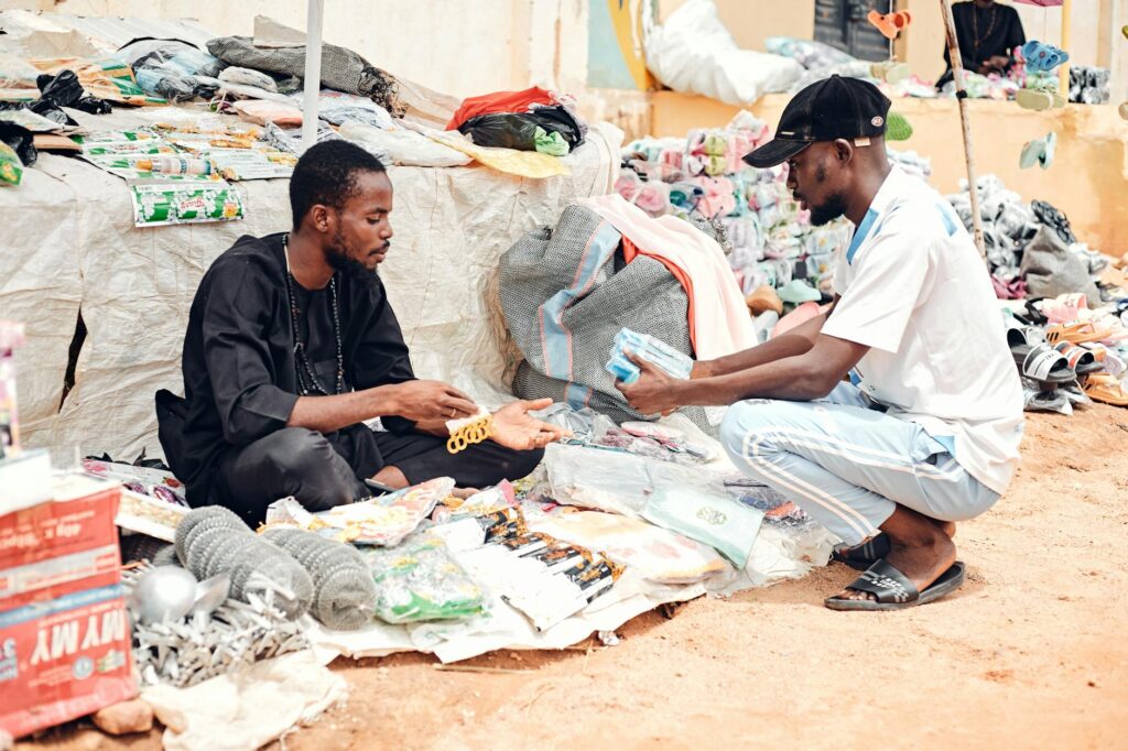 Shadow Economies as Engines of Local Development: A Structural Re‑evaluation