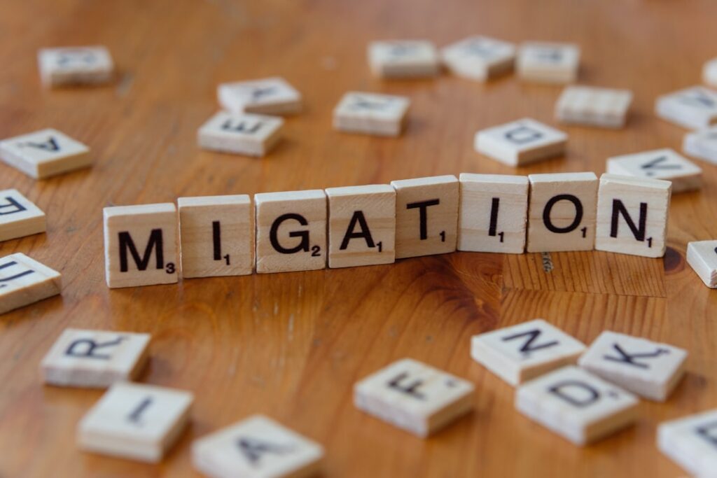 Skill Portability Paradox: How High‑Talent Migration Reshapes Labor Market Equilibrium