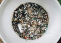 Sustainable Materials Science as the Institutional Engine for Microplastic Mitigation