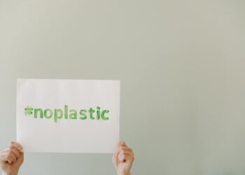 Sustainable Threads: How Social Media Rewrites the Power Balance in Eco‑Fashion