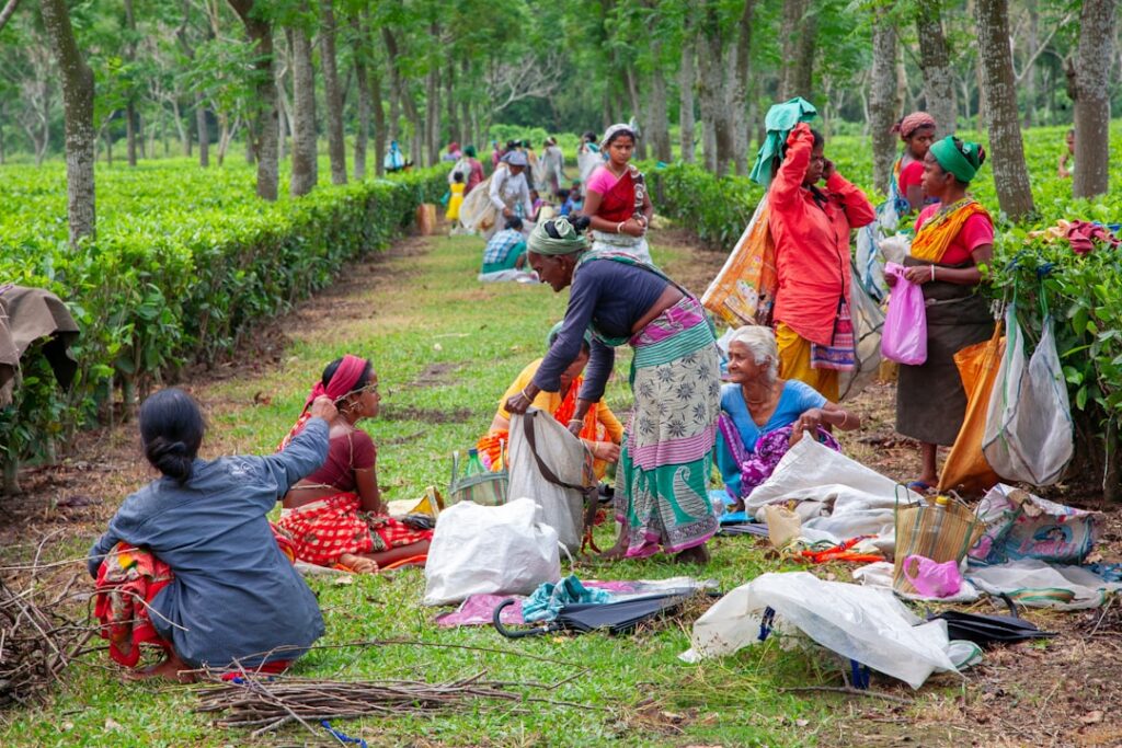 Sustainable Travel’s Institutional Turn: How Eco‑Tourism Reshapes Capital, Mobility, and Power