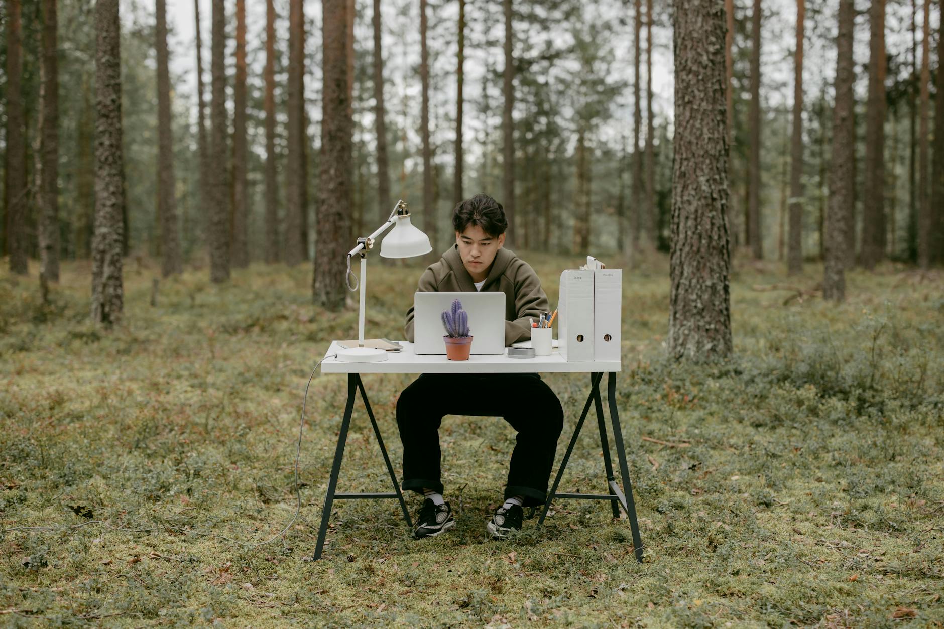 Sustainable Work‑Life Integration: How Ecosystem Services Reshape Career Capital