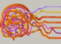 The Neuro‑Economic Engine: How Flow, Micro‑Pursuits, and Brain‑Based Capital Reshape Career Mobility