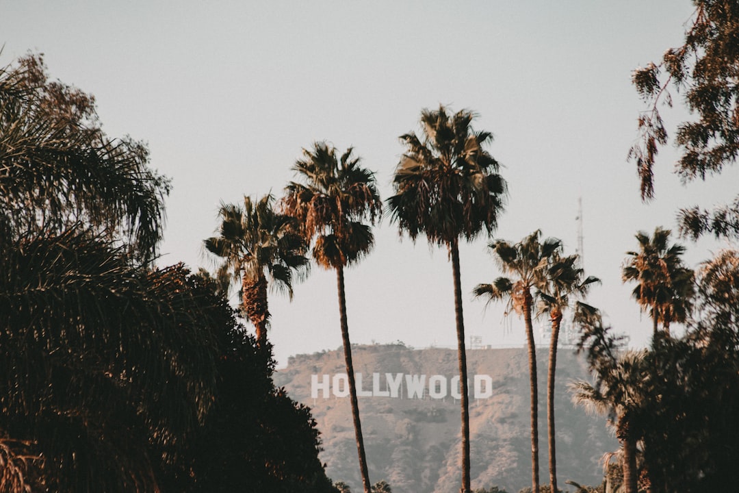 Hollywood Writers Transition to AI Training Roles | Workforce Shift