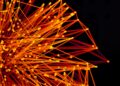 Universities as Catalysts: How Fourth‑Generation Programs Reshape Regional Innovation and Career Capital