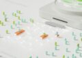 Unlearning Bias in AI: Structural Shifts in Data Curation and Career Capital