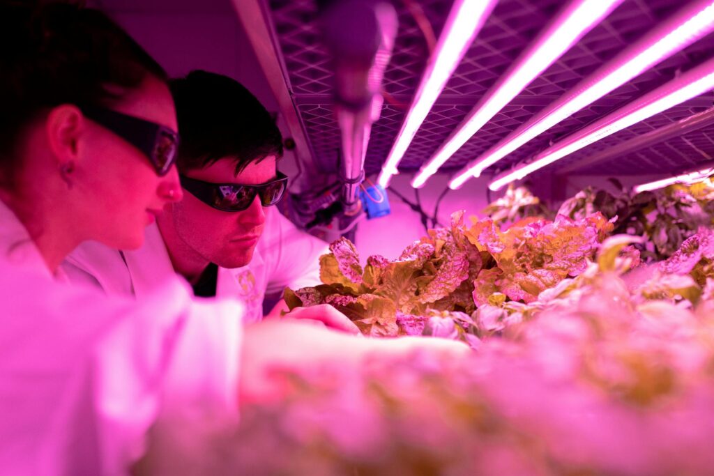 Vertical Farms as Urban Sanctuaries: Systemic Pathways to Mental‑Health Capital