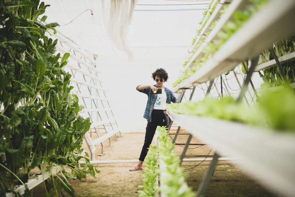 Vertical Farms as Urban Sanctuaries: Systemic Pathways to Mental‑Health Capital